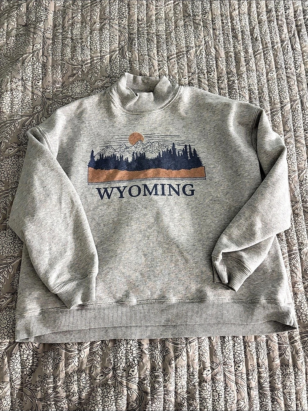 American Eagle Wyoming Graphic Mock Neck Sweatshirt Gray